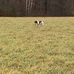 Jason Wendt - Facebook