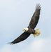 Jason Wendt - Facebook