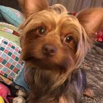 Jason Wentzel - @jwentzel223 - Instagram