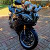 jason wentzel - @wentzel3 - TikTok
