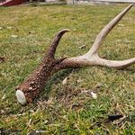 Jason Wentzel - @wentz78 - Instagram