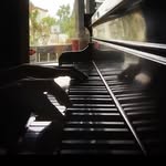 Jason Wexler - @jasonwexlermusic - Instagram