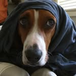 Jason Whitener - @whitener.jason - Instagram
