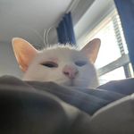 Jason Nguyen - @jason.is.a.winner - Instagram