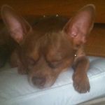 Jason Witmer - @jason.witmer.148 - Instagram