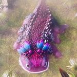 Jason Witmer - @j.fortnitey.sui - Instagram