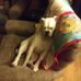 Jason Wixon - Facebook