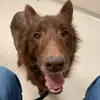 jasonwix728 - @jasonwix728 - TikTok
