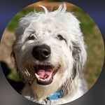 Jason Wolcott - @jdwolcott - Instagram