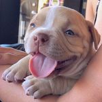 jason wolcott - @jasonwolcott918864 - Instagram