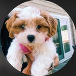 Jason Wolcott - @jasedwt - Instagram