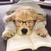 Jason Wolcott - Facebook