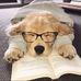 Jason Wolcott - Facebook
