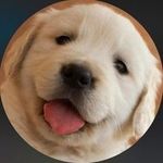 Jason Wolcott - @jwolcott54 - Instagram