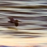 Jason Wolcott Fine Art Photographer - @planetspulse - Instagram