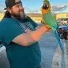 Jason Wold - @jason.wold85 - TikTok