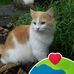 Ancy Jaison - Facebook