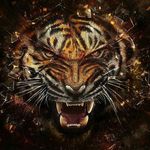 Jason christopher yetter - @jason_2085_yetter - Instagram