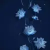 jasonyoder07211 - @jasonyoder07211 - TikTok