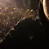 Jason.zwick15 - @jason.zwick15 - TikTok