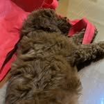 Miracle Japari Wirawan - @miracle.jawir - Instagram