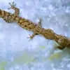 Jasper Alexander - @jasper.alexander6 - TikTok