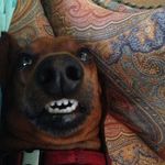 Jasper Allen - @jasper_af - Instagram