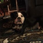 Jasper Allen - @jasper_the_oeb - Instagram