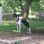 Jasper Allen - @jasper.allen17 - Instagram