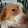jasper_anderson1 - @jasper_anderson1 - TikTok