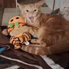 Jasper Anderson - @jasper.anderson52 - TikTok