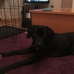 Jasper Anderson - @jasper_anderson1400 - Instagram