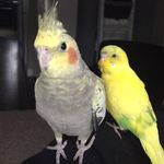 Jasper & Bailey - @jasper_.bailey - Instagram