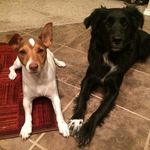 Jasper & Bailey - @jasper_and_bailey - Instagram