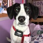 Jasper Bailey - @_jasperbailey_ - Instagram