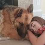 Jasper&Bailey🐕💕🇬🇧 - @jas_perbailey - Instagram
