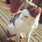 Jasper Carrot Barton - @jasper.barton - Instagram