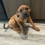 Jasper Kaleem Barton 🦴 - @jasperbarton_ - Instagram