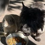 Bucks & Jasper - @bucksandjasper - Instagram