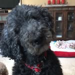 Jasper Beckwith - @jasper.bucketlist - Instagram
