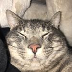 Jasper Butler - @jasper.butler.the.first - Instagram