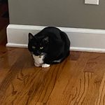 jasper butler - @jasperlittleguy - Instagram