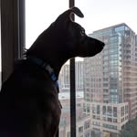 Jasper Carpenter-Pierce - @jasperthefeist - Instagram