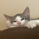 Jasper - @jasper_carpenter.07 - Instagram