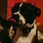 Jasper Casey - @gamingbroncos_ - Instagram