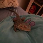 Jasper Clark - @jaspers_a_ok - Instagram
