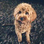 Jasper Clark - @itsjasperclark - Instagram