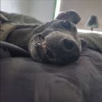 Jasper - @jasper_clark15 - Instagram