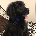 Jasper Coleman - @jasper_coleman1126 - Instagram