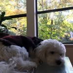 Jasper Coleman - @jasper_smc - Instagram